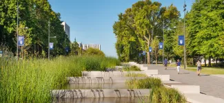 A view of UBC University Boulevard